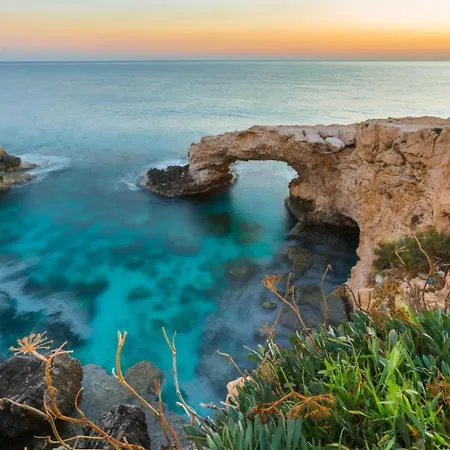Miracle * Paralimni